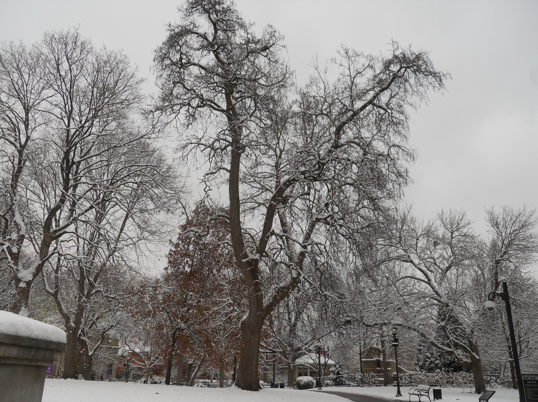 Washington Park-辛辛那提必去景点