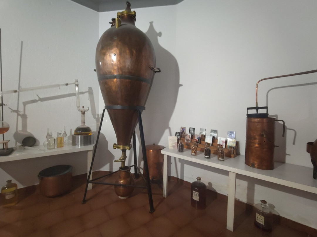 Parfumerie Galimard-埃兹必去景点