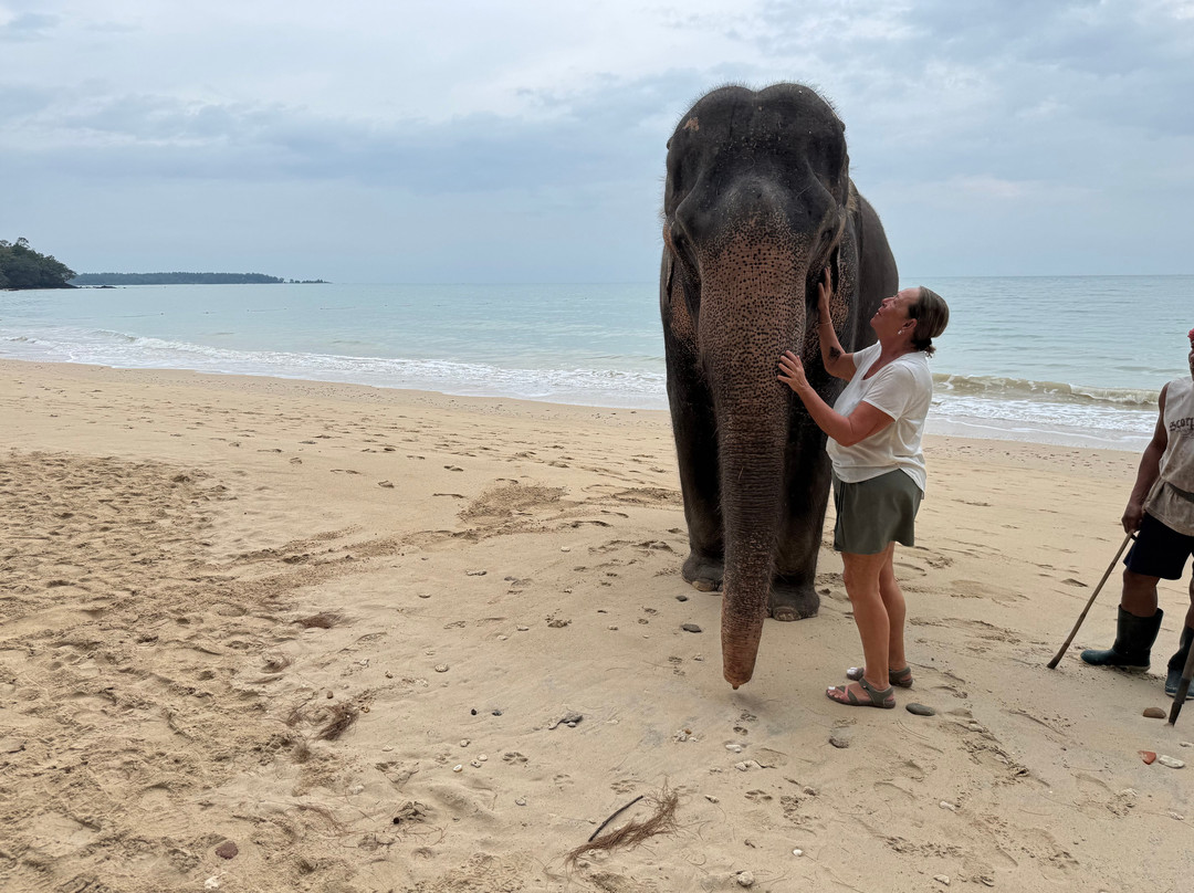 Coconut Elephant Camp Khaolak-Khuekkhak必去景点