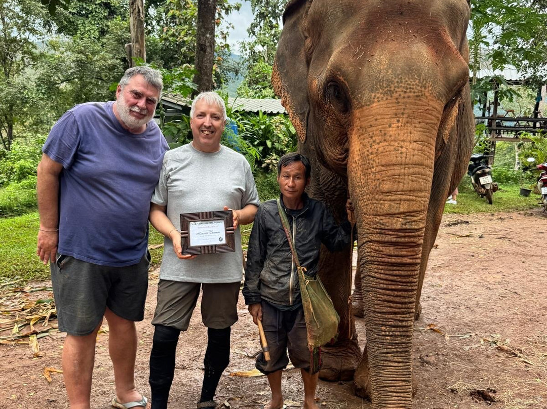 Elephant Special Tours-清迈府必去景点