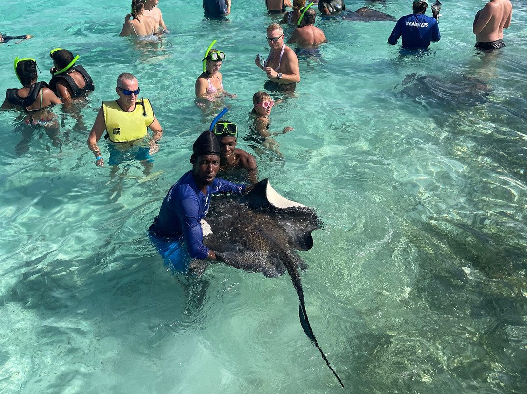 Stingray City-安提瓜必去景点