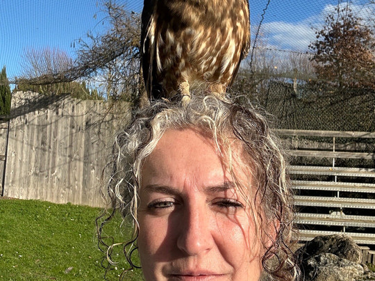 Parc aux Rapaces - Fauconnerie Marche - Madiran-Saint-Lanne必去景点