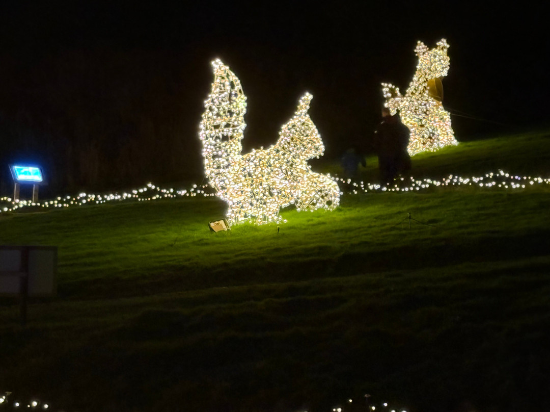 Skypark-Carlingford必去景点
