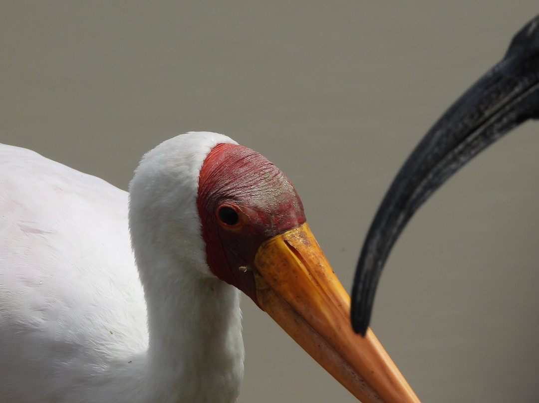 Keei Gee Mountain Expeditions-Naro Moru必去景点