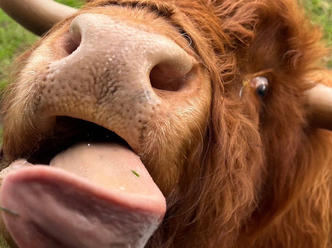 Dumble Farm-比弗利必去景点