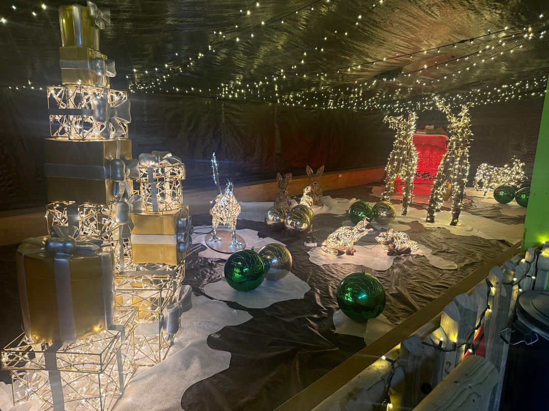 Attwell Farm Park-雷迪奇必去景点