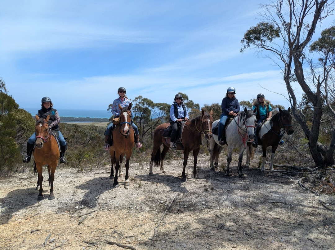 Cradle Country Adventures-摇篮山圣克莱尔湖国家公园必去景点
