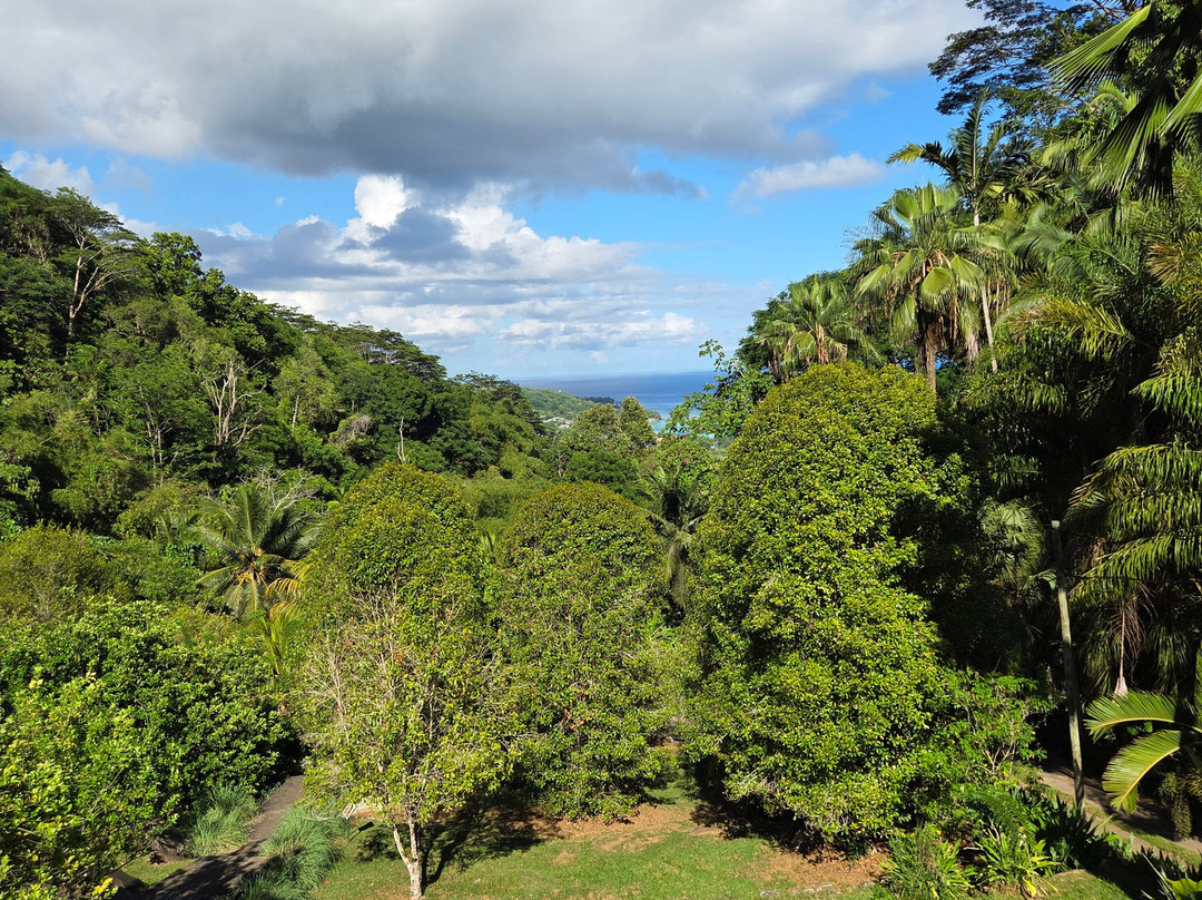 Le Jardin Du Roi Spice Garden-马埃岛必去景点
