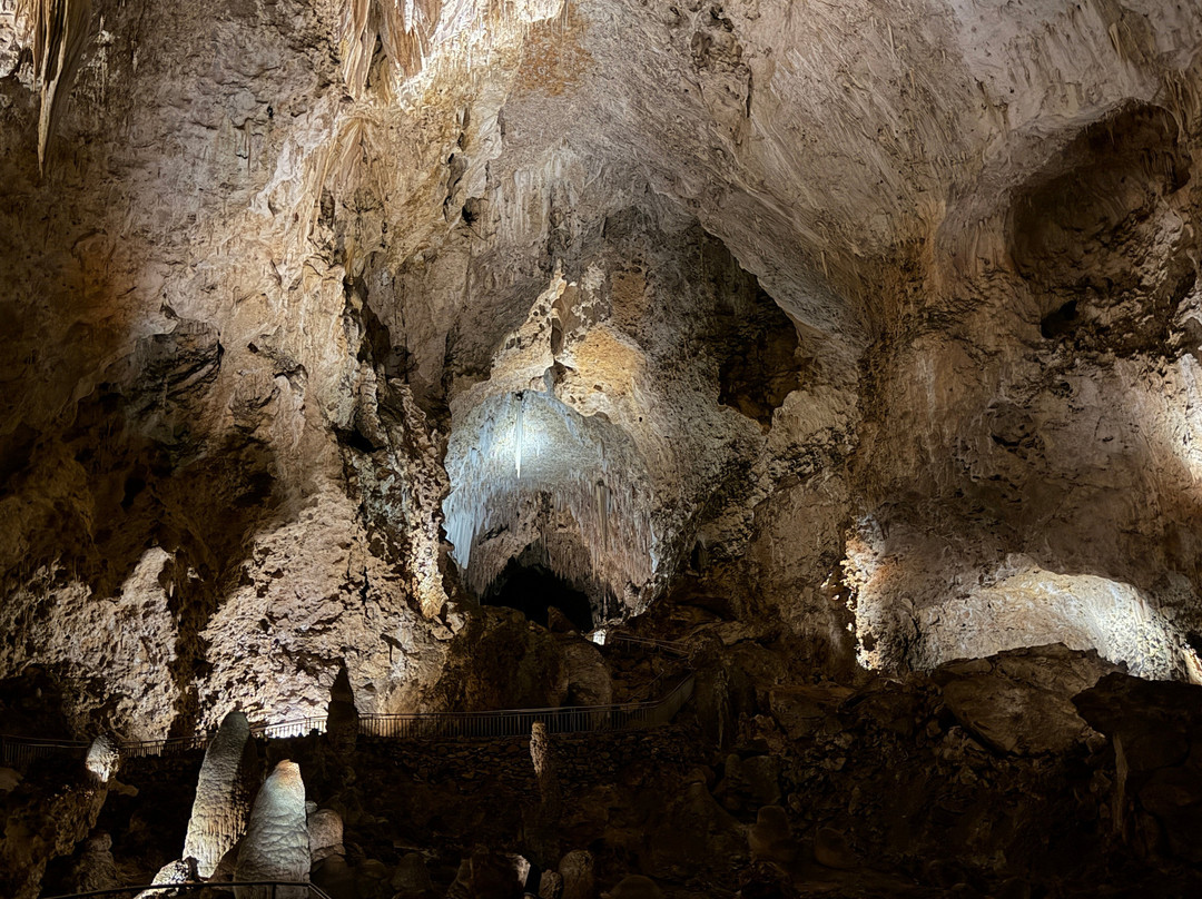 Bottomless Pit-卡尔斯巴德洞穴国家公园必去景点