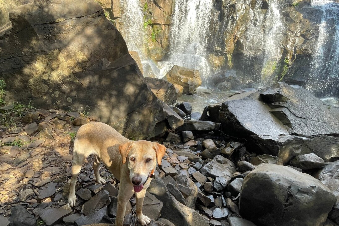 Cascata do Ibicuí-Campos Novos必去景点