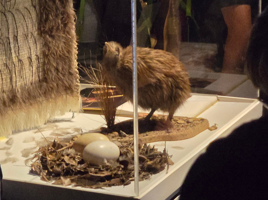 Smith Tour Company-陶兰加必去景点