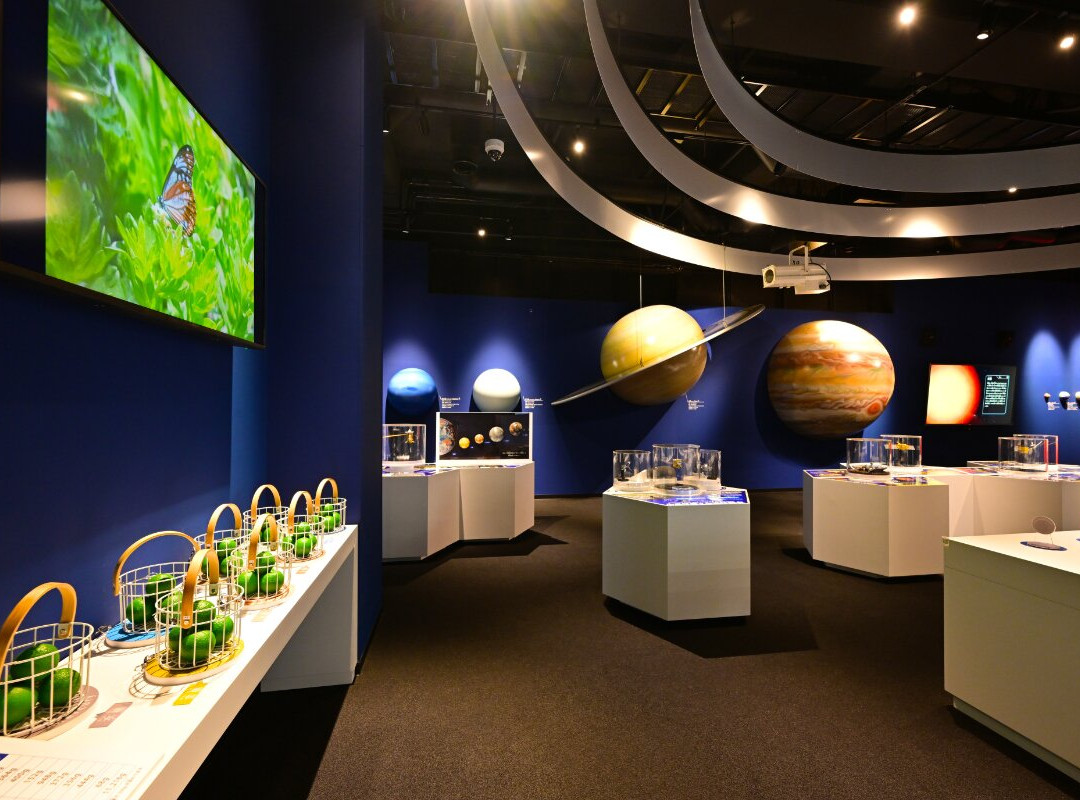 JX Metals Sekizaki Mirai Kaiseikan-大分市必去景点