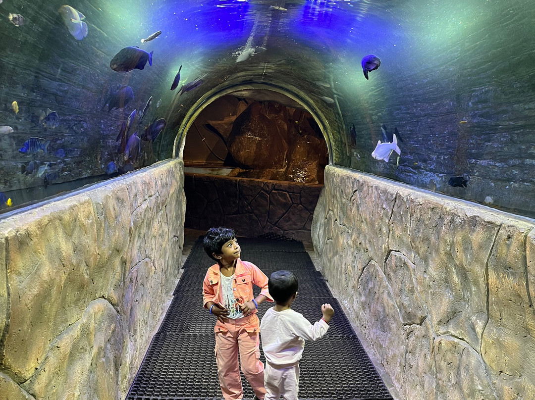 Fundera Park-Yelagiri必去景点