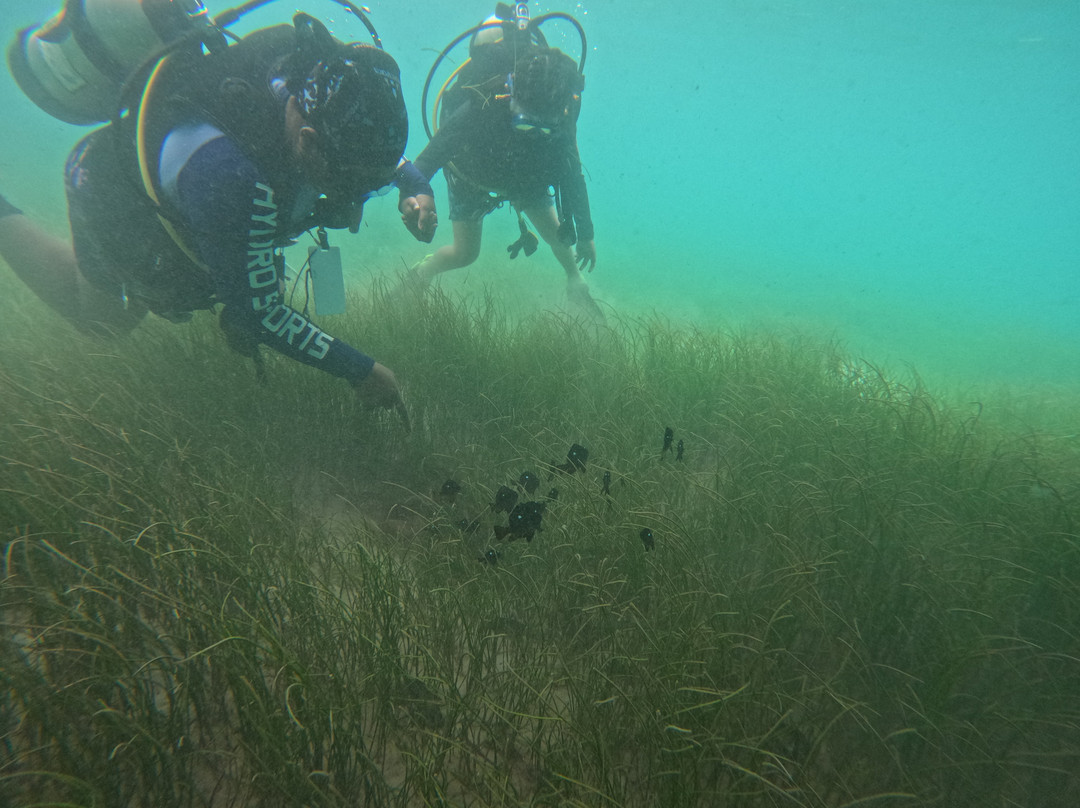 Hydro Sports-辛加东卡必去景点