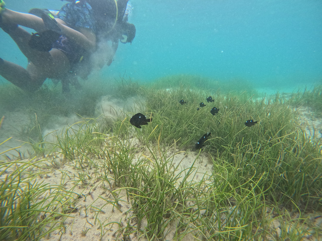 Hydro Sports-辛加东卡必去景点