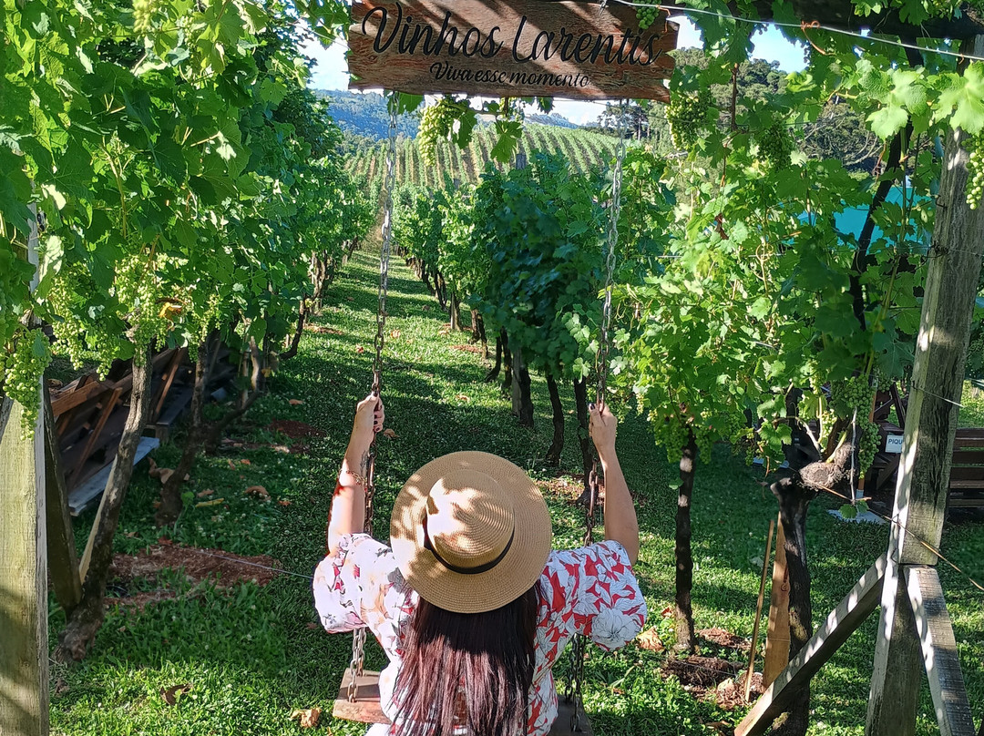 Vinhos Larentis-本图贡萨尔维斯必去景点