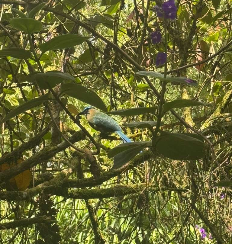 El Palacio del Barbas-Filandia必去景点