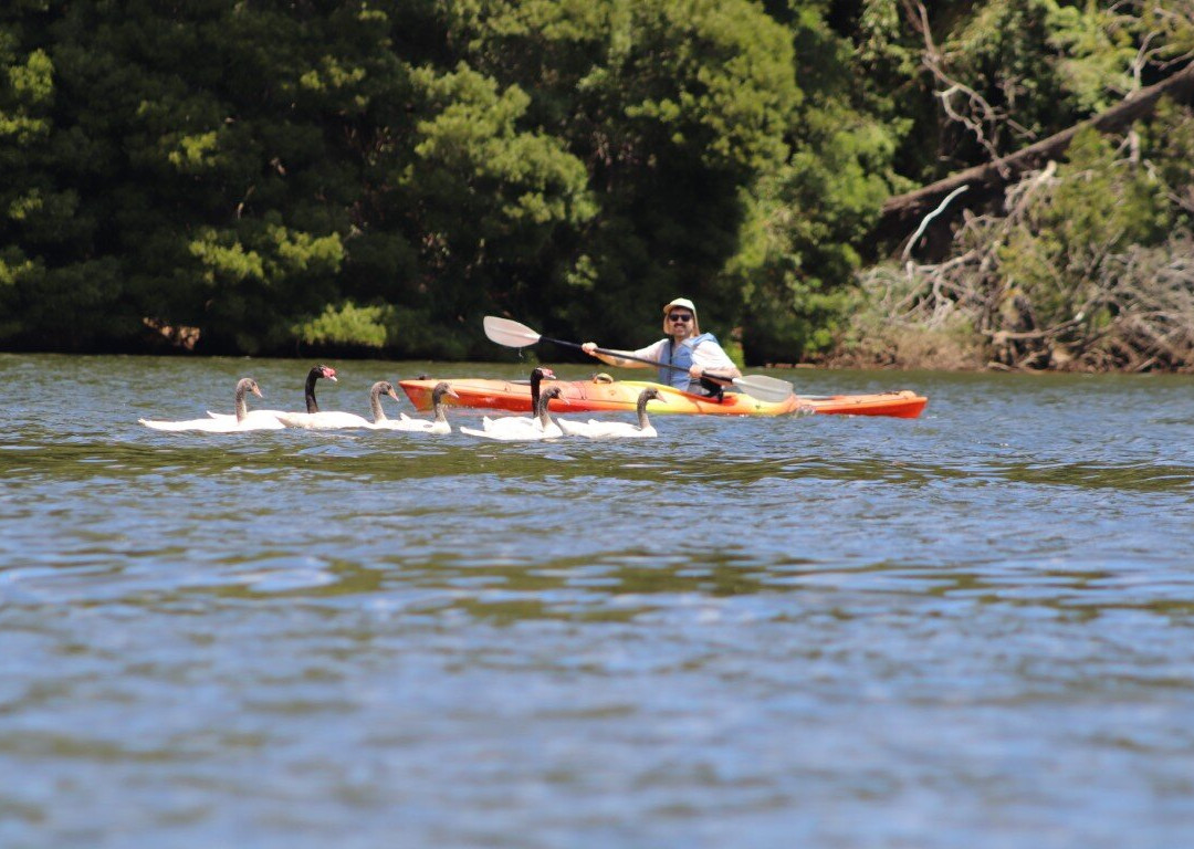 Rio Vivo-瓦尔迪维亚必去景点