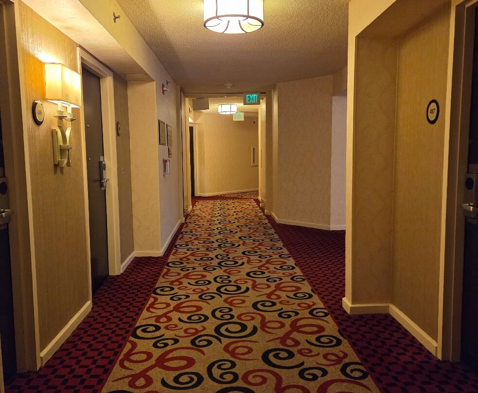 Hilton Rosemont/Chicago O'Hare主图