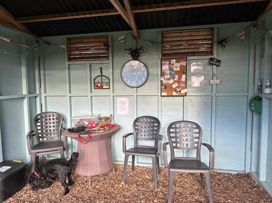 Seaview Dog Meadow-Wiveton必去景点