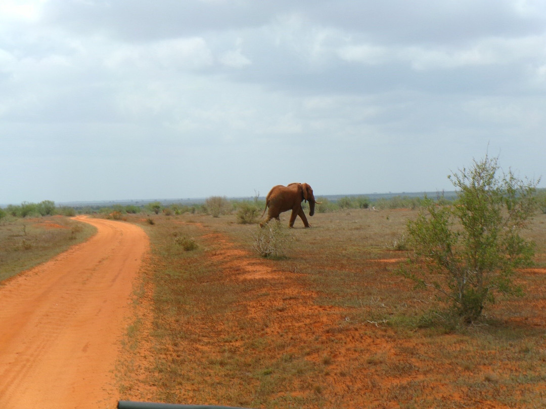 Agenzia Safari Vera Africa-东察沃国家公园必去景点