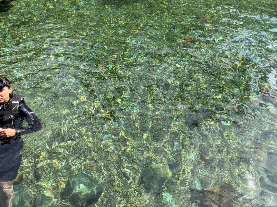 Recanto Ecologico Rio da Prata-博尼图必去景点