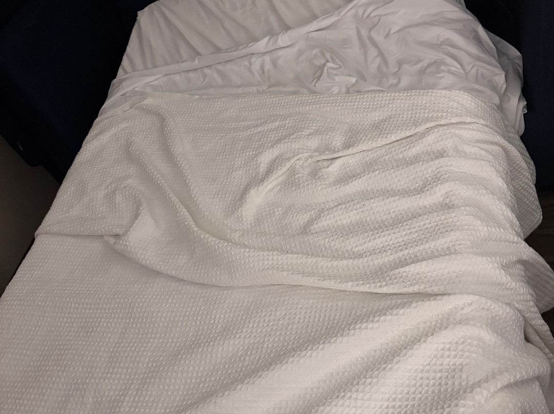 Holiday Inn Express & Suites Williams By IHG主图