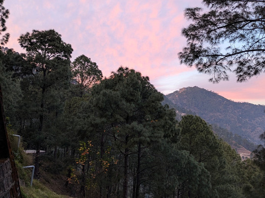 The Woods Retreat主图