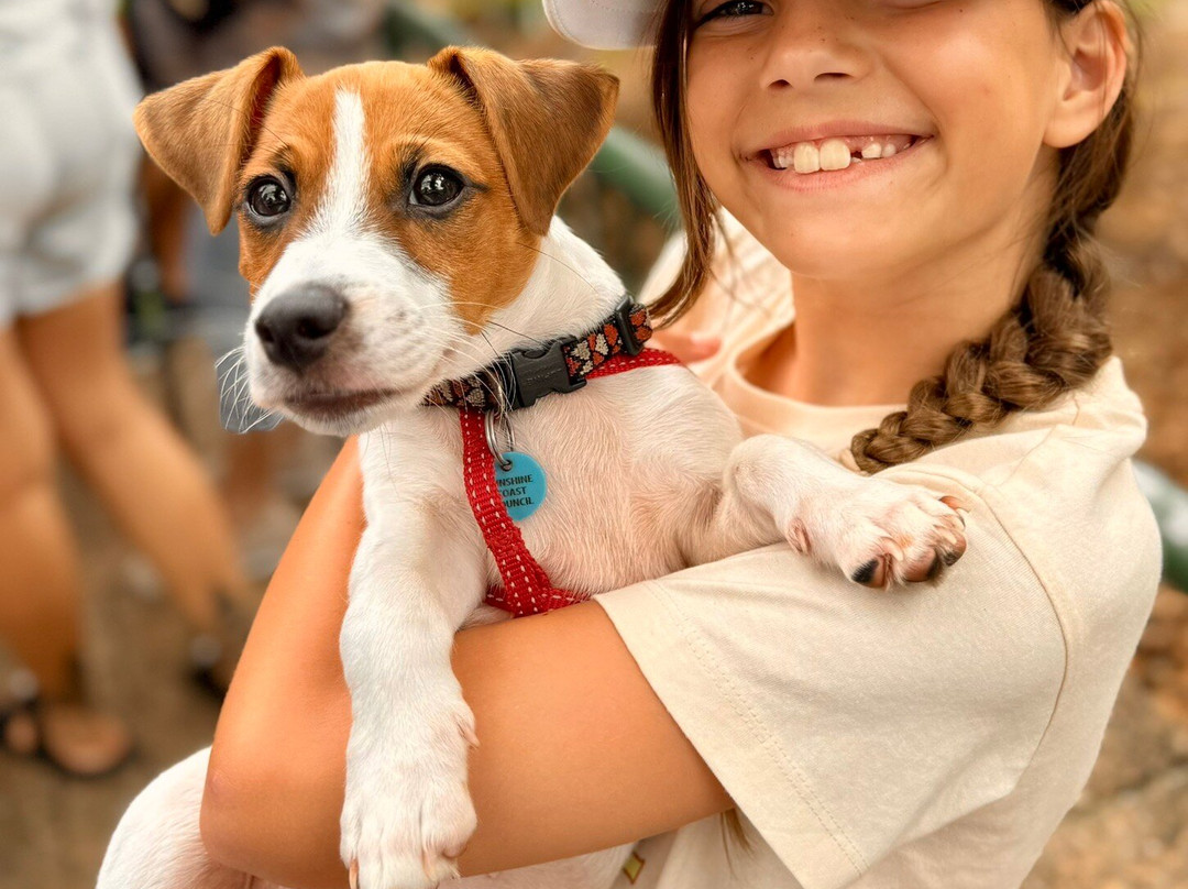 Fairhill Native Botanic Garden-Ninderry必去景点