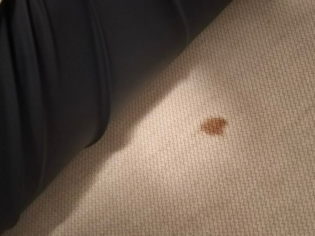 Domaine Long Pre主图