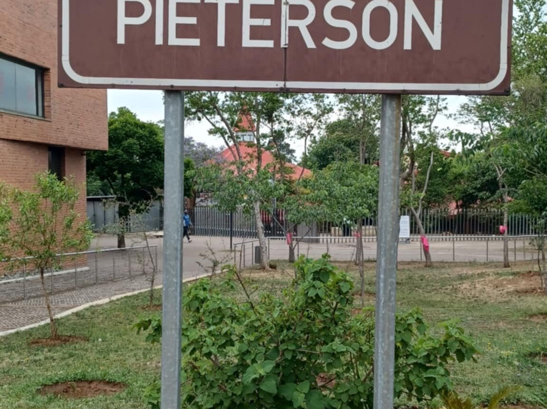 海克特‧彼特森博物馆-索韦托必去景点