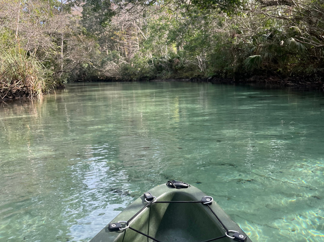 Weeki Wachee Kayaking-Weeki Wachee必去景点