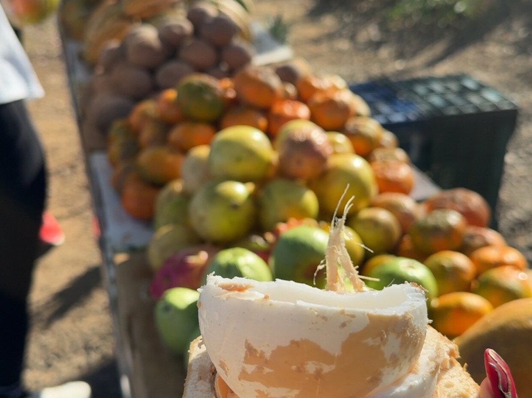 Prime Tours Costa Rica-利比里亚必去景点