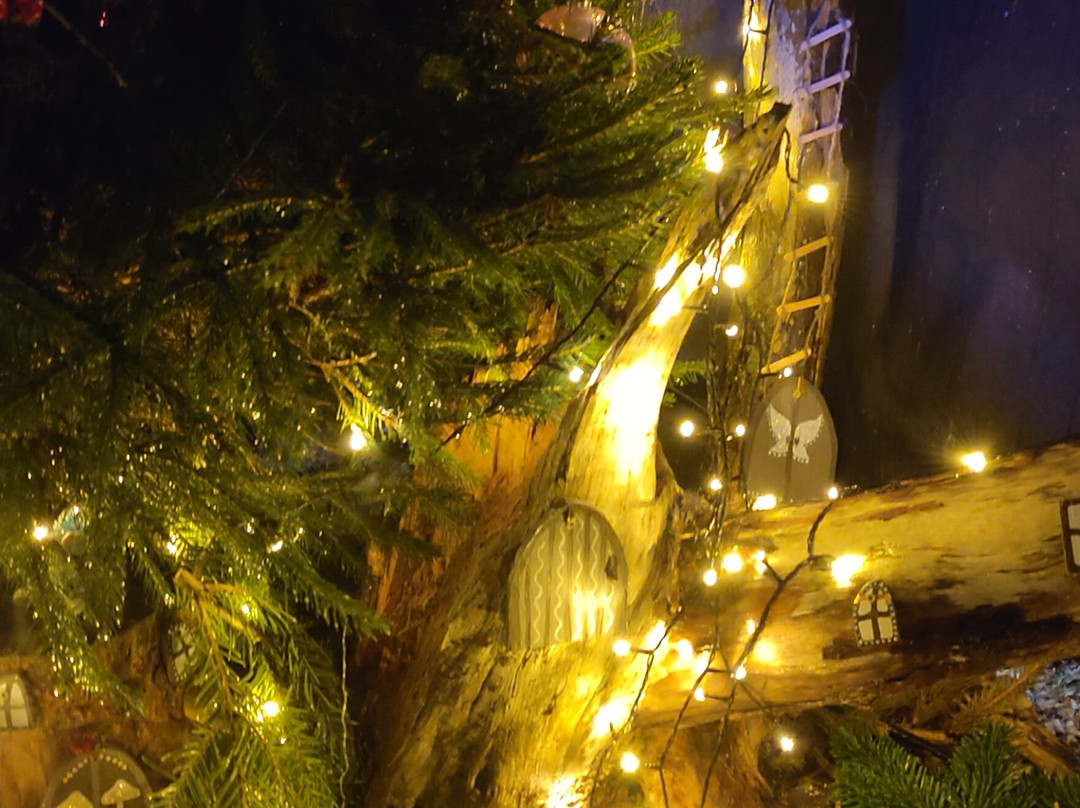 Kolmården Zoo-Kolmarden必去景点