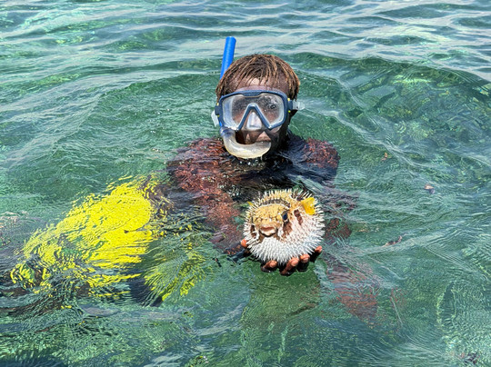 Baraccuda Safari Kenya-瓦塔木必去景点