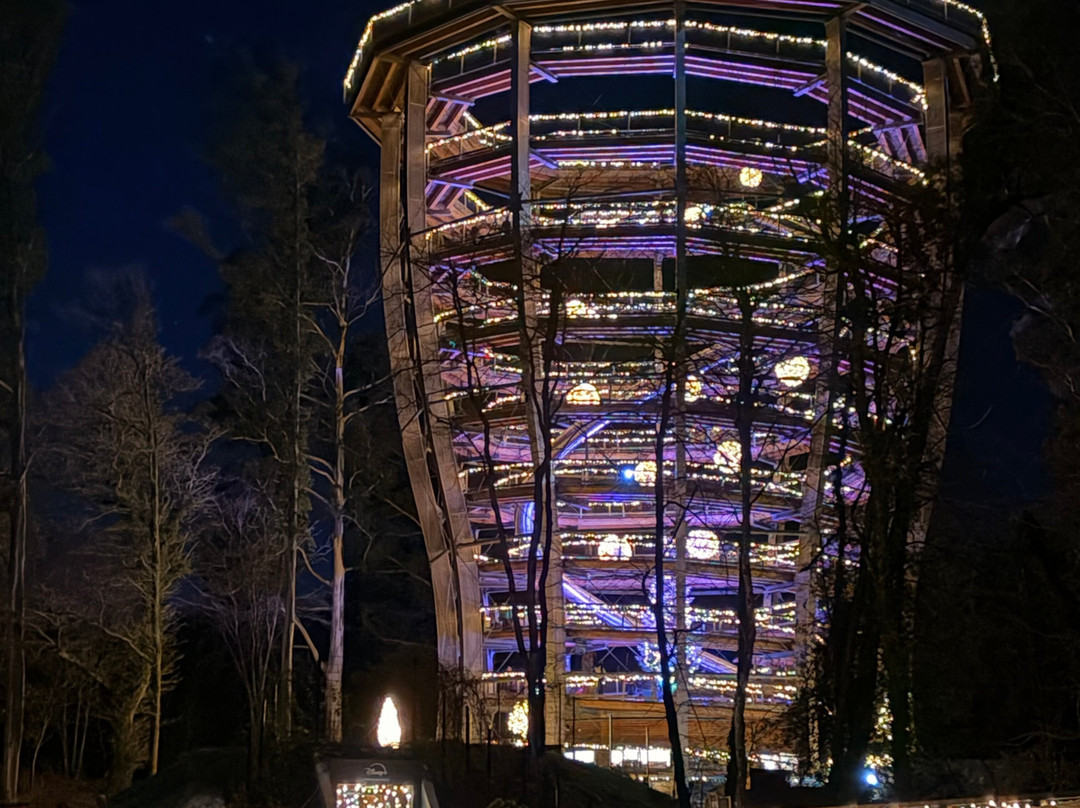 Treetop Walk Avondale-Rathdrum必去景点