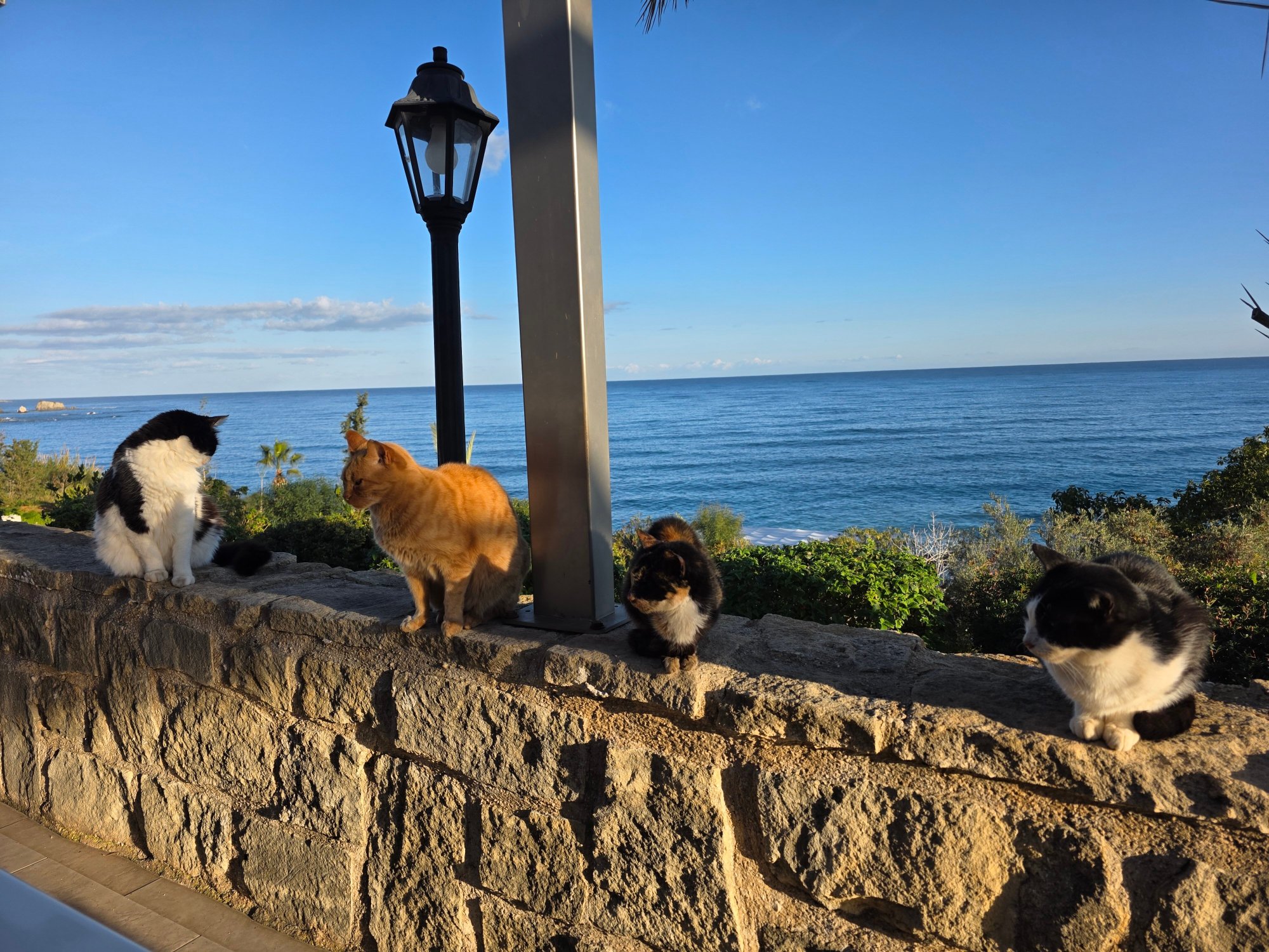 阿福罗狄蒂海滩酒店-官方