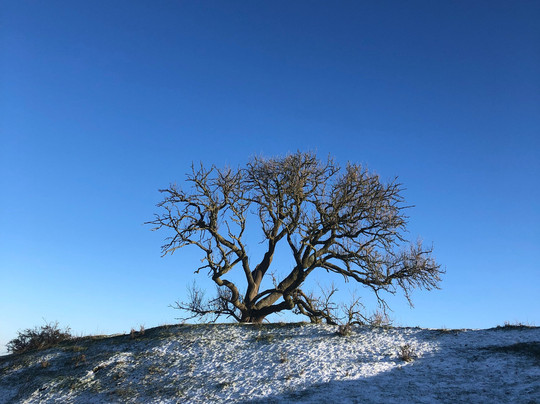 Burrough Hill - Iron Age Hillfort-Somerby必去景点