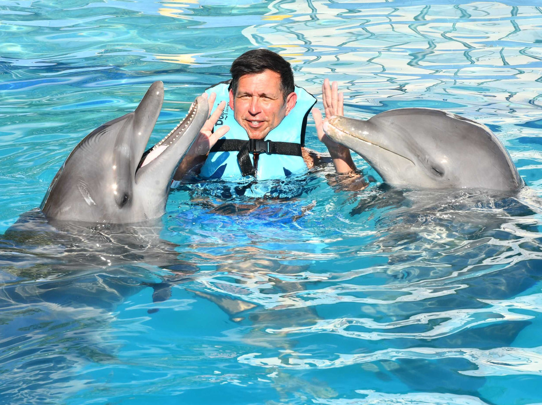 Dolphin Discovery Playa Del Carmen-普拉亚德尔卡曼必去景点