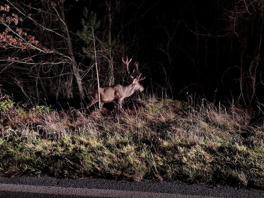 Albergo Antico Borgo la Torre主图