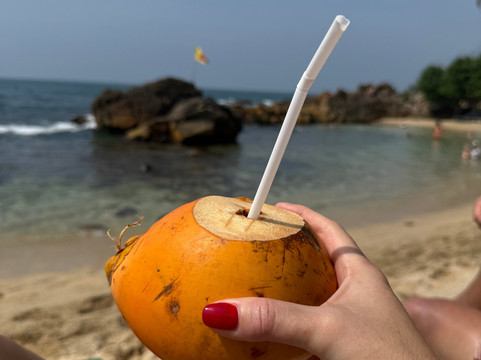 Viraj's Tours-瓦勒迦玛必去景点