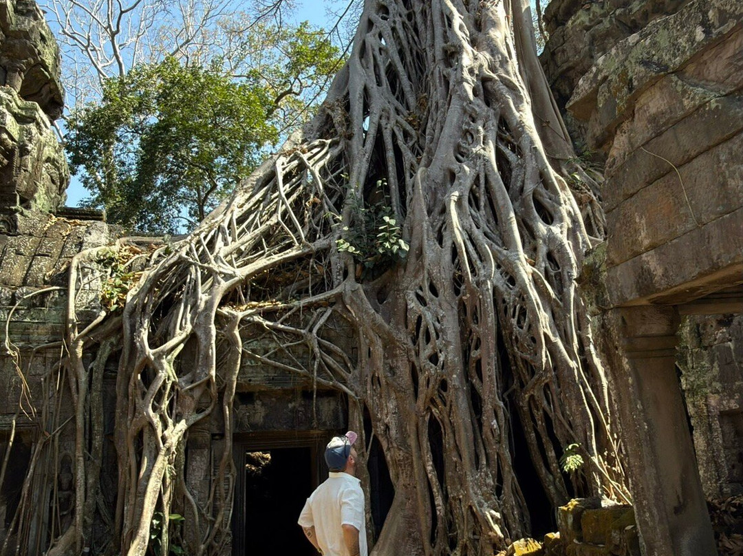 Angkor en Espanol-暹粒必去景点