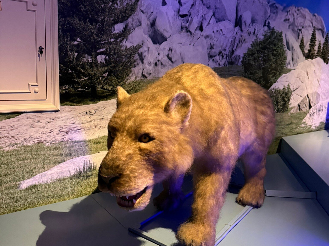 Móra Ferenc Múzeum-塞格德必去景点