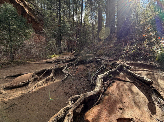 West Fork Oak Creek Trailhead-塞多纳必去景点