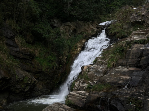 VAC Spices and Tea-科伦坡必去景点