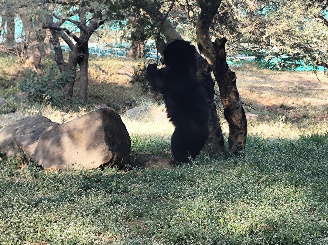 Rajiv Gandhi Zoological Park-浦那必去景点