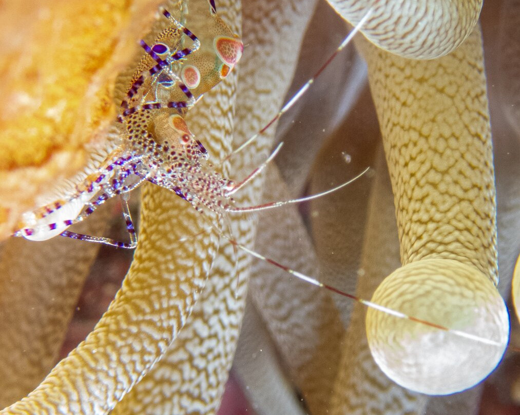 Letifish-Aventure-Pointe-Noire必去景点