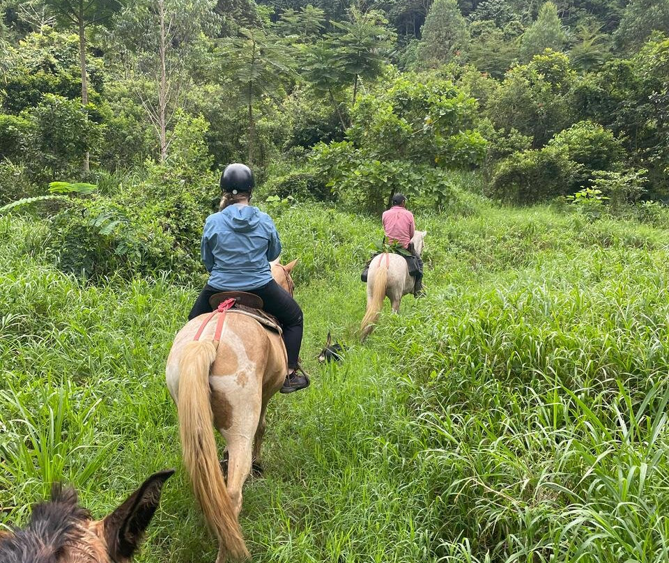 Hacienda Monte Claro-图里亚尔瓦必去景点