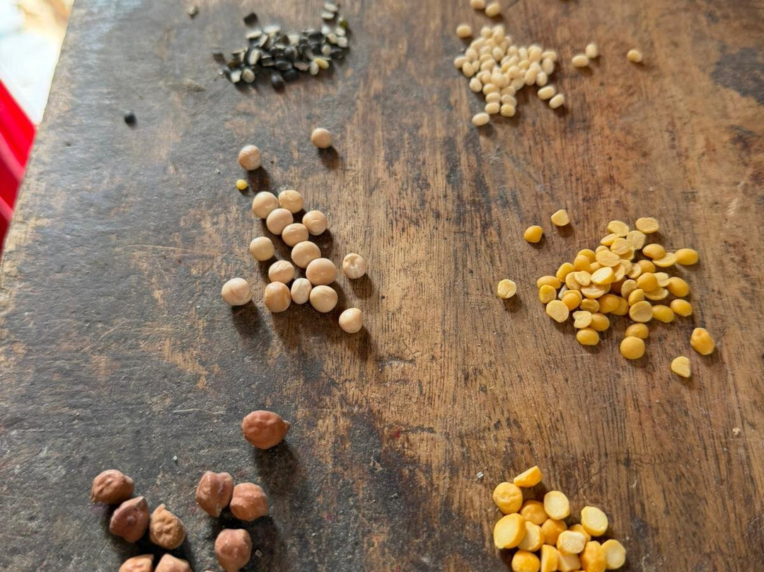 Munni's Pondy Cooking Classes-朋迪榭里必去景点