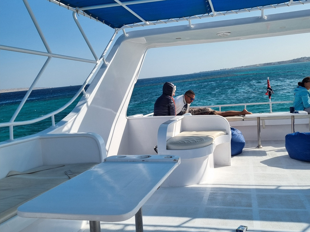 Red Sea Horse Diving-Hurghada 1必去景点